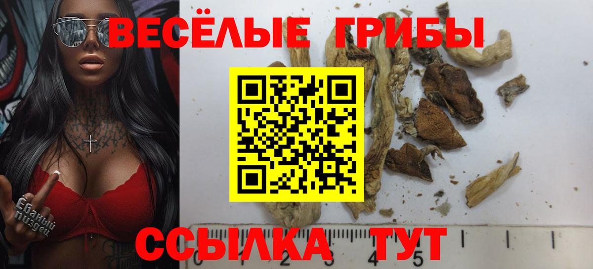 Псилоцибиновые грибы мухоморы Каменск-Шахтинский